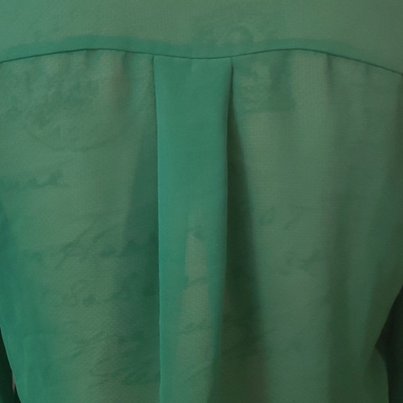 Sheer Emerald Green Blouse see through Brand Mine and Size Small. - Picture 6 of 11